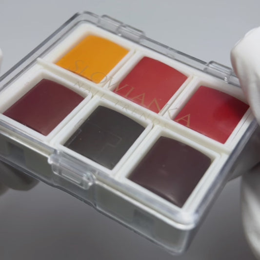 ProArtist Watercolour Paint - Set 1